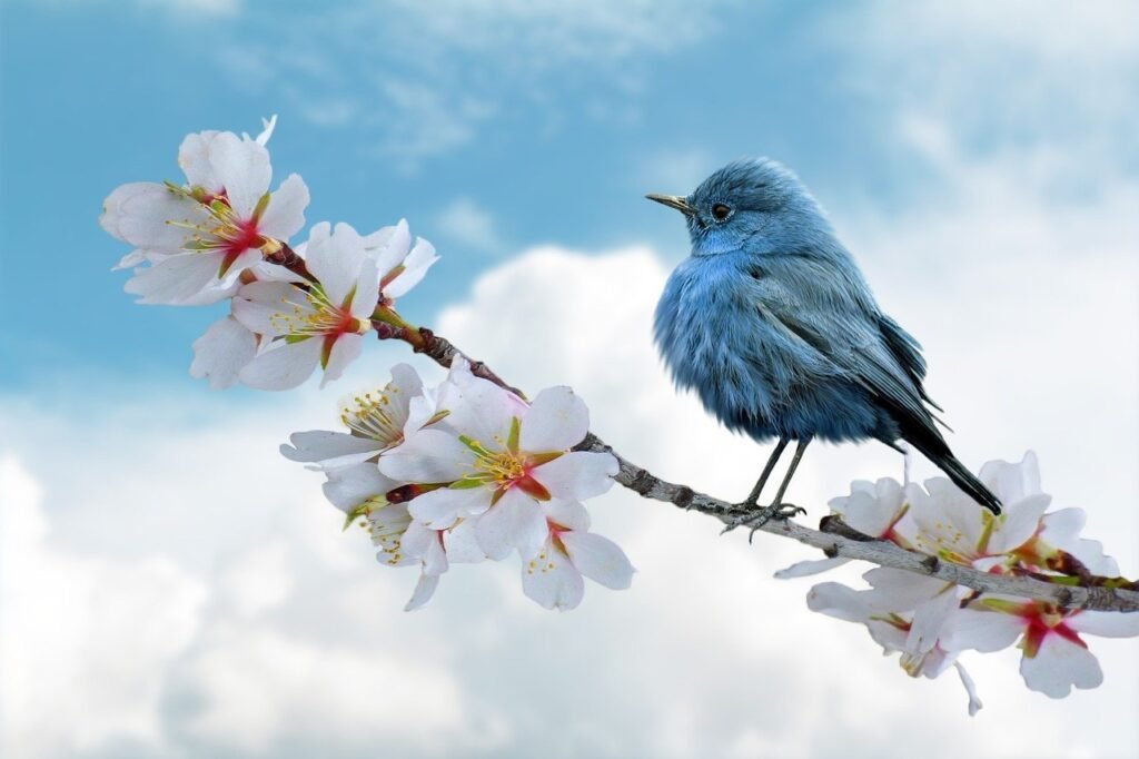 bird-blue-clouds-8788491 bird, blue, clouds-8788491.jpg